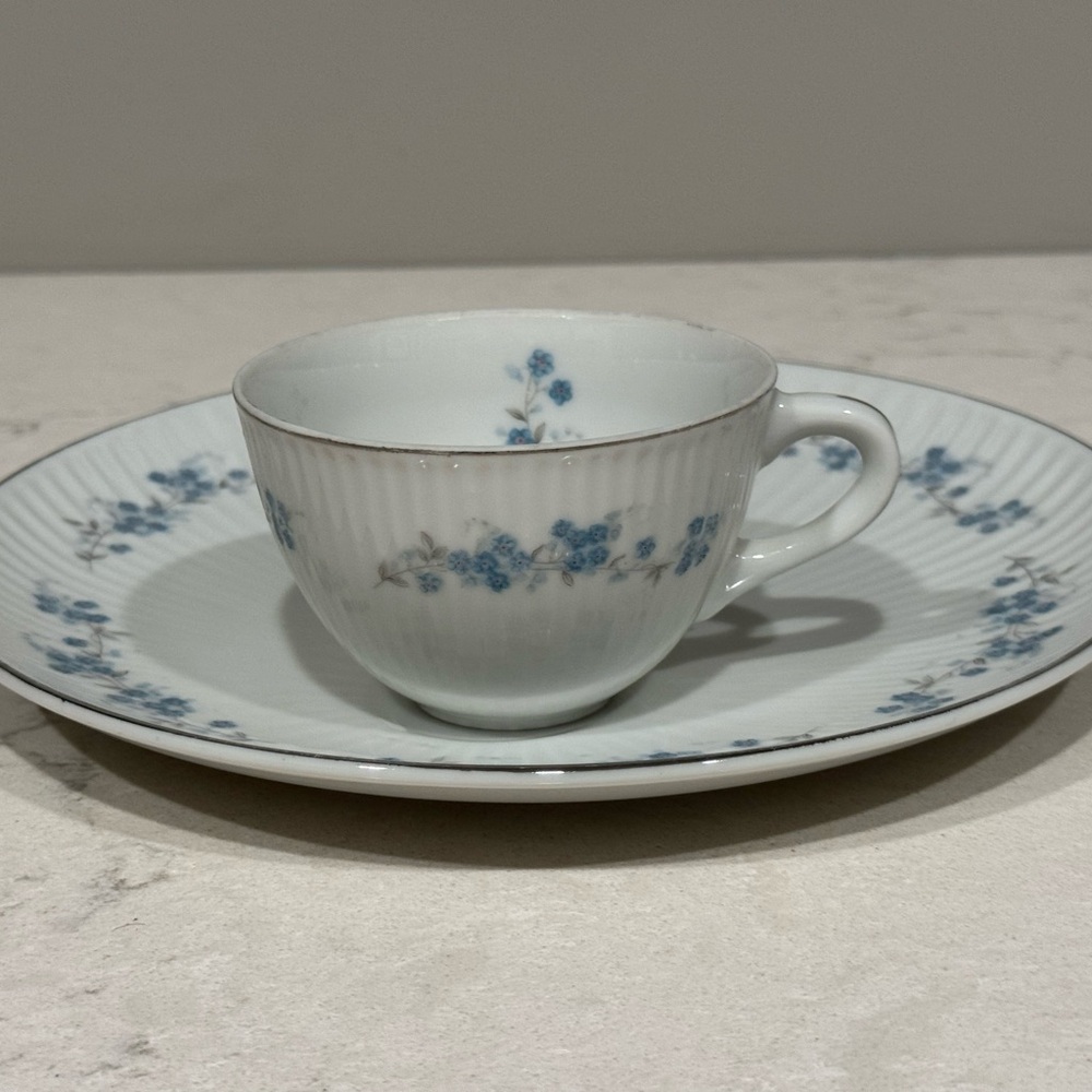Vintage Luncheon Plate and Teacup [Yamaka]